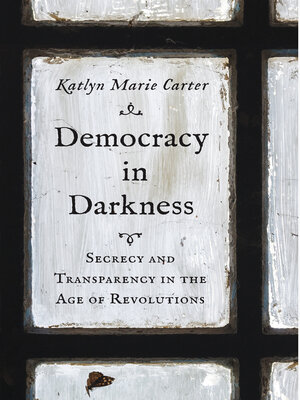 cover image of Democracy in Darkness